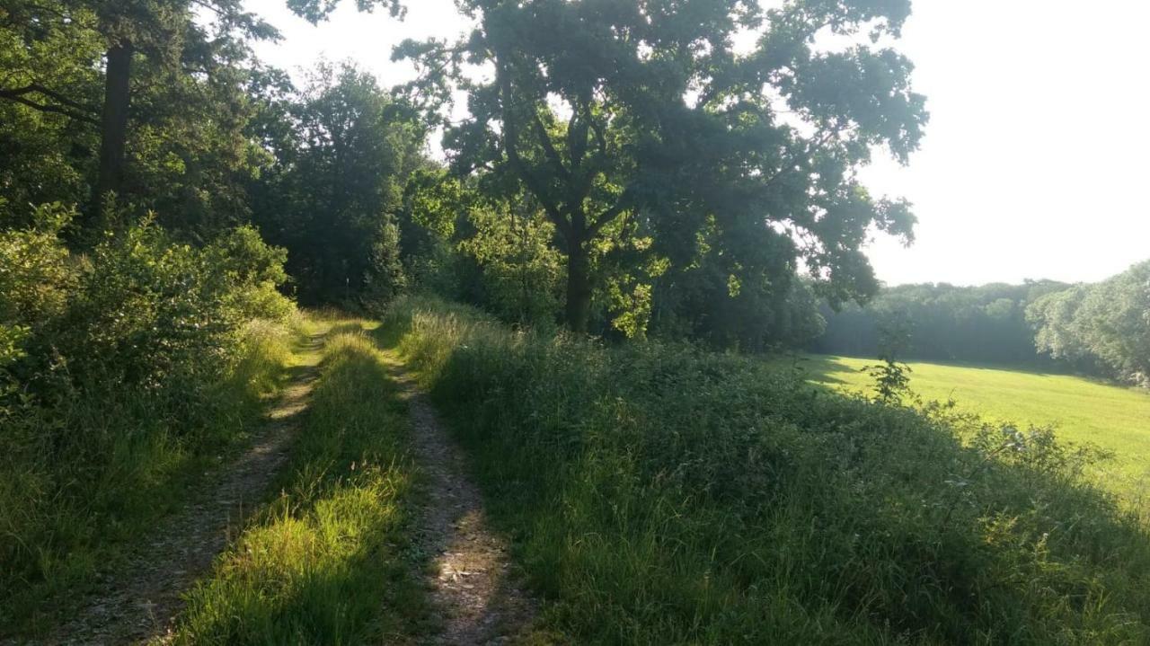 Ziegeleihof Inmitten Von Wiesen Und Waeldern Degenershausen Eksteriør bilde